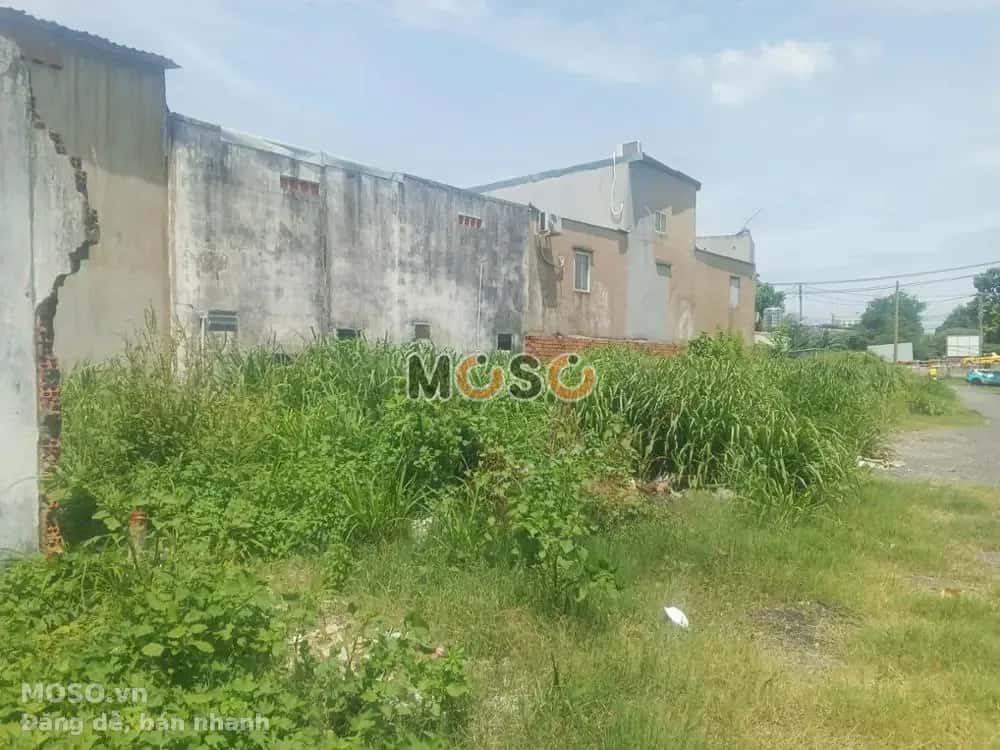 Bán đất Tỉnh lộ 43 Thành phố Thủ Đức, TP.HCM – giá 2 tỷ - ảnh 4