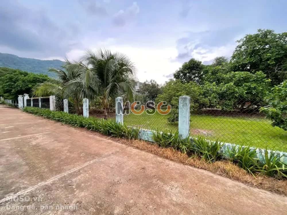 Bán đất Huyện Xuân Lộc, Đồng Nai – giá 4.1 tỷ - ảnh 5