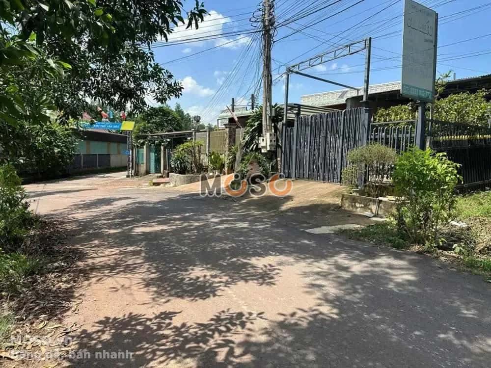 Bán đất Đường Đồng Lớn Huyện Vĩnh Cửu, Đồng Nai – giá 1.2 tỷ - ảnh 3