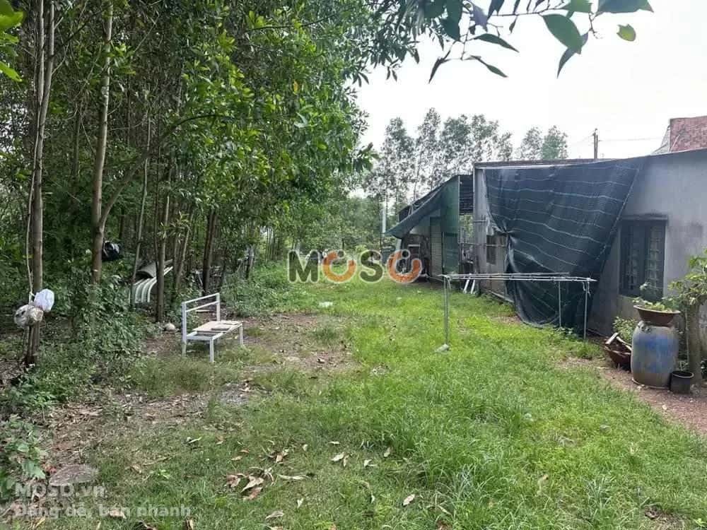Bán đất Đường Đồng Lớn Huyện Vĩnh Cửu, Đồng Nai – giá 1.2 tỷ - ảnh 5