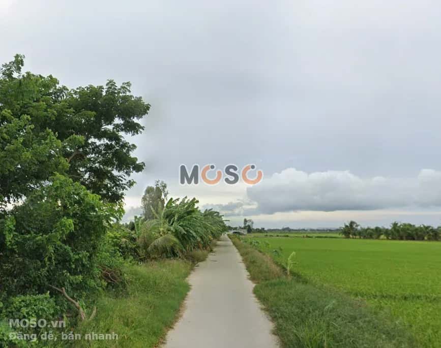 Bán đất kênh Bà Xã Năm, Ấp Thạnh Phước  Huyện Cờ Đỏ, TP. Cần Thơ – giá 650 triệu - ảnh 2