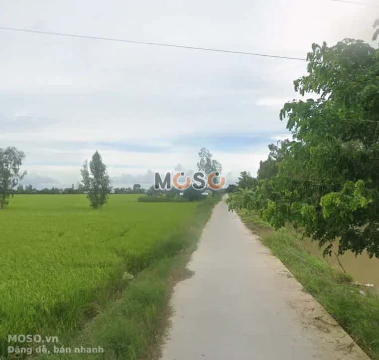 Bán đất kênh Bà Xã Năm, Ấp Thạnh Phước  Huyện Cờ Đỏ, TP. Cần Thơ – giá 650 triệu - ảnh 3
