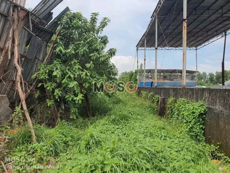 Bán đất Đường Tân An Thị xã Dĩ An, Bình Dương – giá 2.6 tỷ - ảnh 2