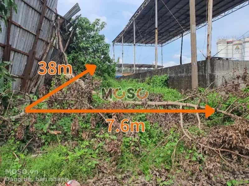 Bán đất Đường Tân An Thị xã Dĩ An, Bình Dương – giá 2.6 tỷ - ảnh 4