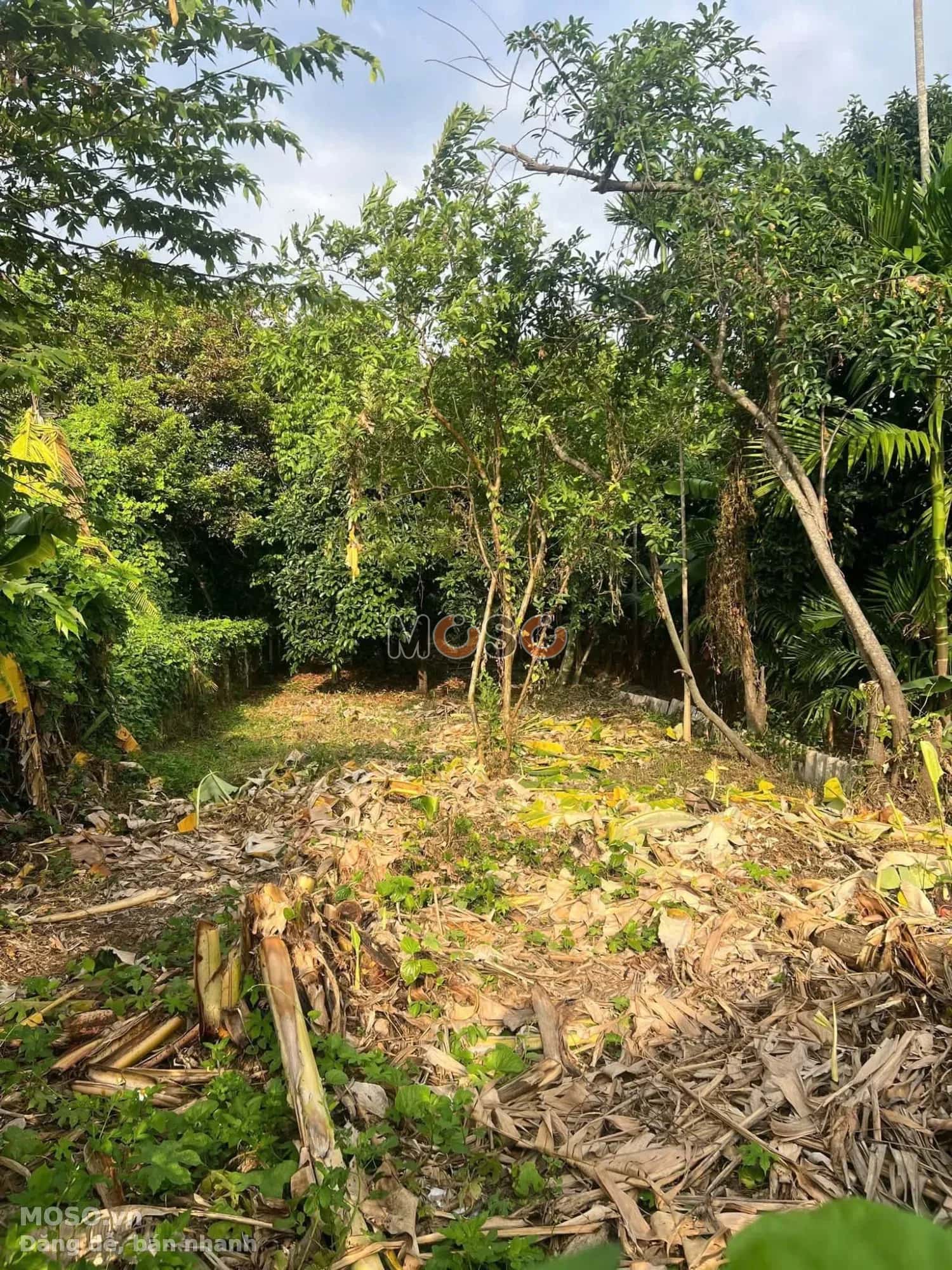Bán đất đường Chòm Sao - Suối Đờn  Thành phố Thuận An, Bình Dương – giá 5 tỷ - ảnh 2