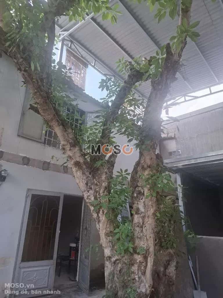 Cho thuê nhà hẻm Đường Thạnh Xuân 14 Quận 12, TP.HCM – 2 phòng ngủ, giá 5 triệu - ảnh 3