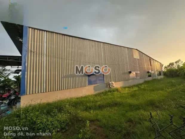 Cho thuê kho, nhà xưởng Thạnh Xuân 52 Quận 12, TP.HCM – giá 16 triệu - ảnh 2