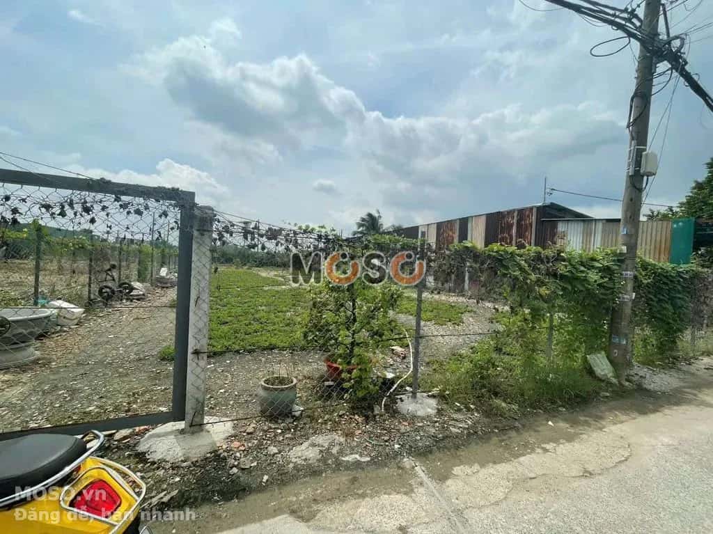 Cho thuê đất Đường TX 25 Quận 12, TP.HCM – giá 4 triệu - ảnh 2