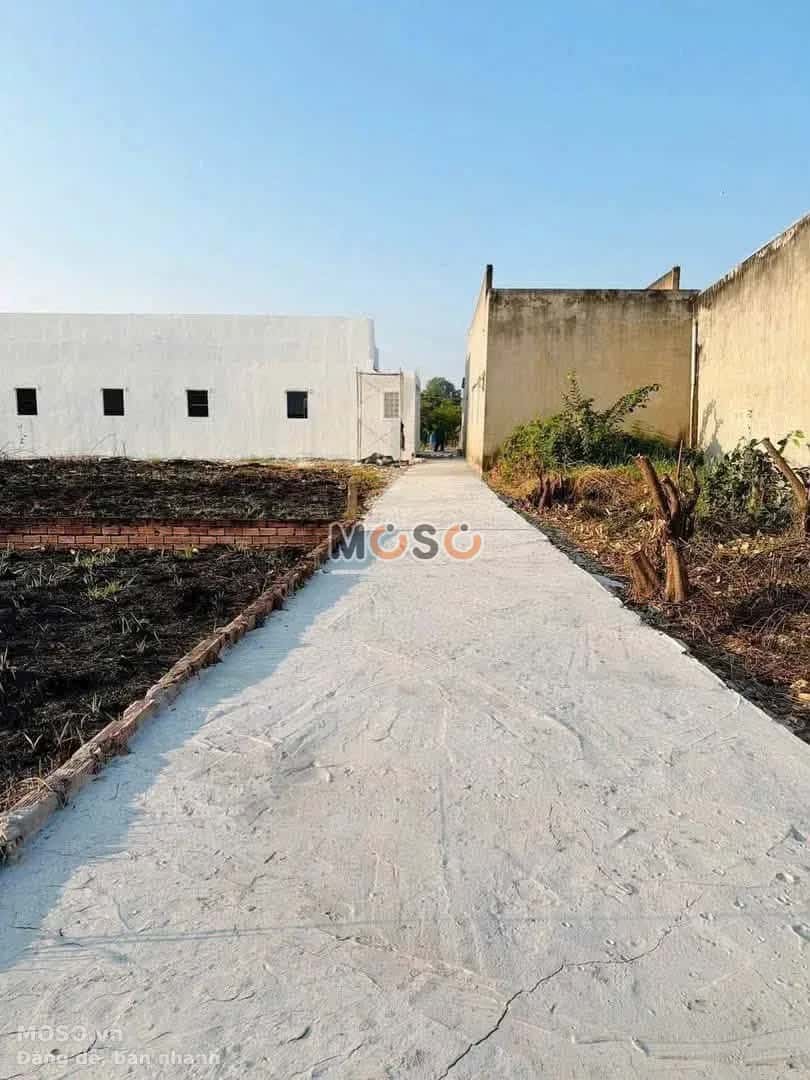 Bán đất Phước Hưng 1 Huyện Cần Giuộc, Long An – giá 580 triệu - ảnh 3