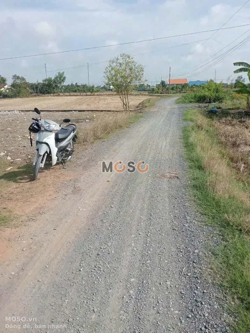 Bán đất đường Xóm Đình Huyện Cần Đước, Long An – giá 699 triệu - ảnh 3