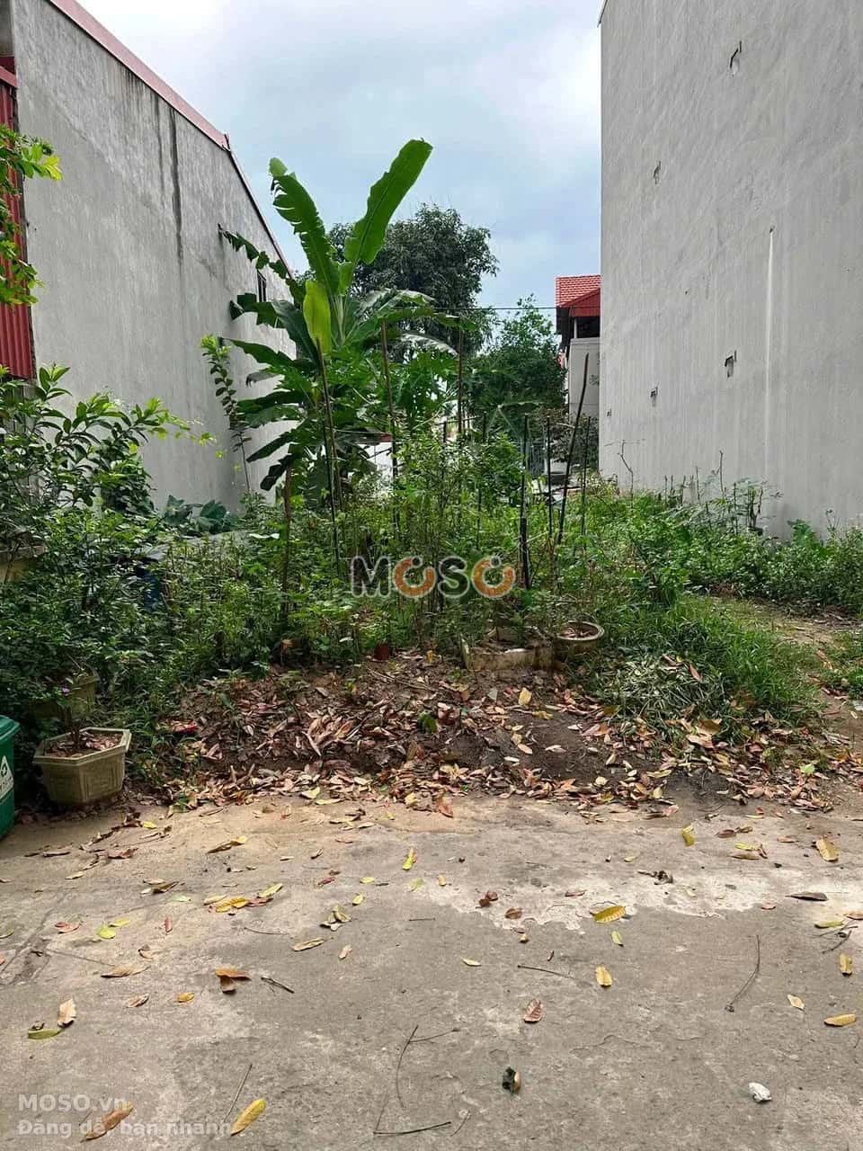 Bán đất Thôn Yên Trình Huyện Vĩnh Tường, Vĩnh Phúc – giá 1.5 tỷ - ảnh 2