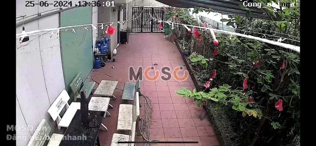 Cho thuê phòng trọ Bùi Tư Toàn Quận Bình Tân, TP.HCM – giá 3 triệu - ảnh 6