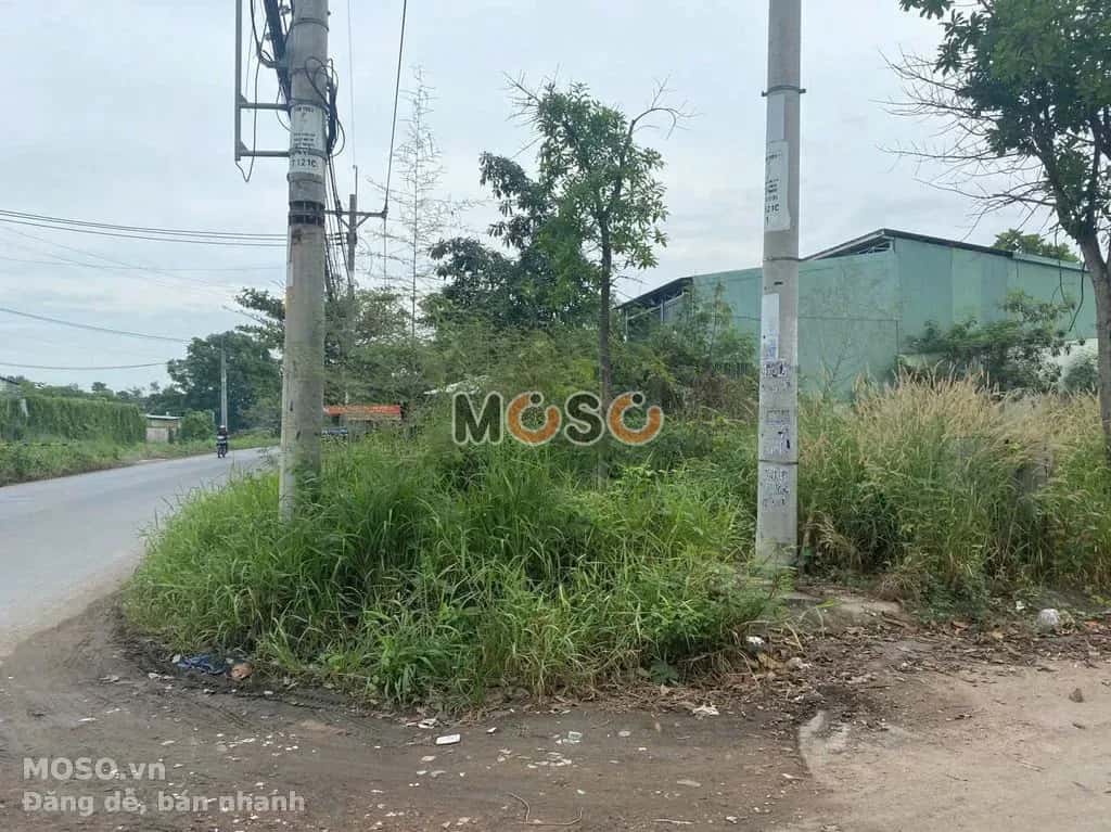 Cho thuê đất Võ Văn Bích Huyện Củ Chi, TP.HCM – giá 2 triệu - ảnh 2