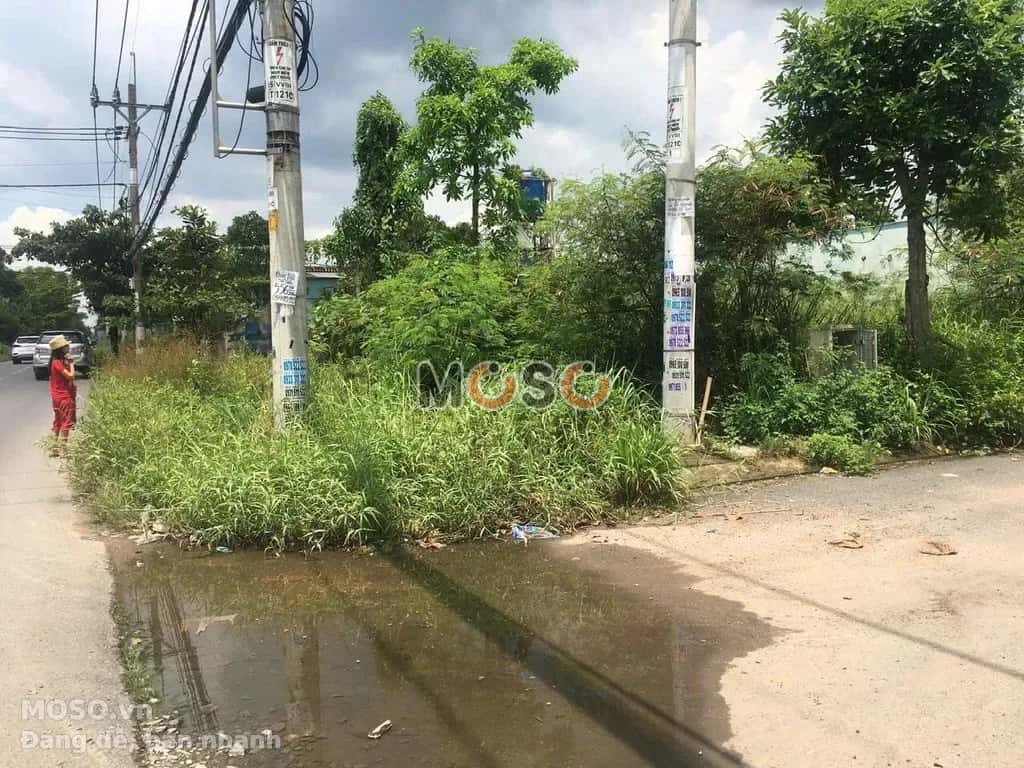 Cho thuê đất Võ Văn Bích Huyện Củ Chi, TP.HCM – giá 2 triệu - ảnh 5
