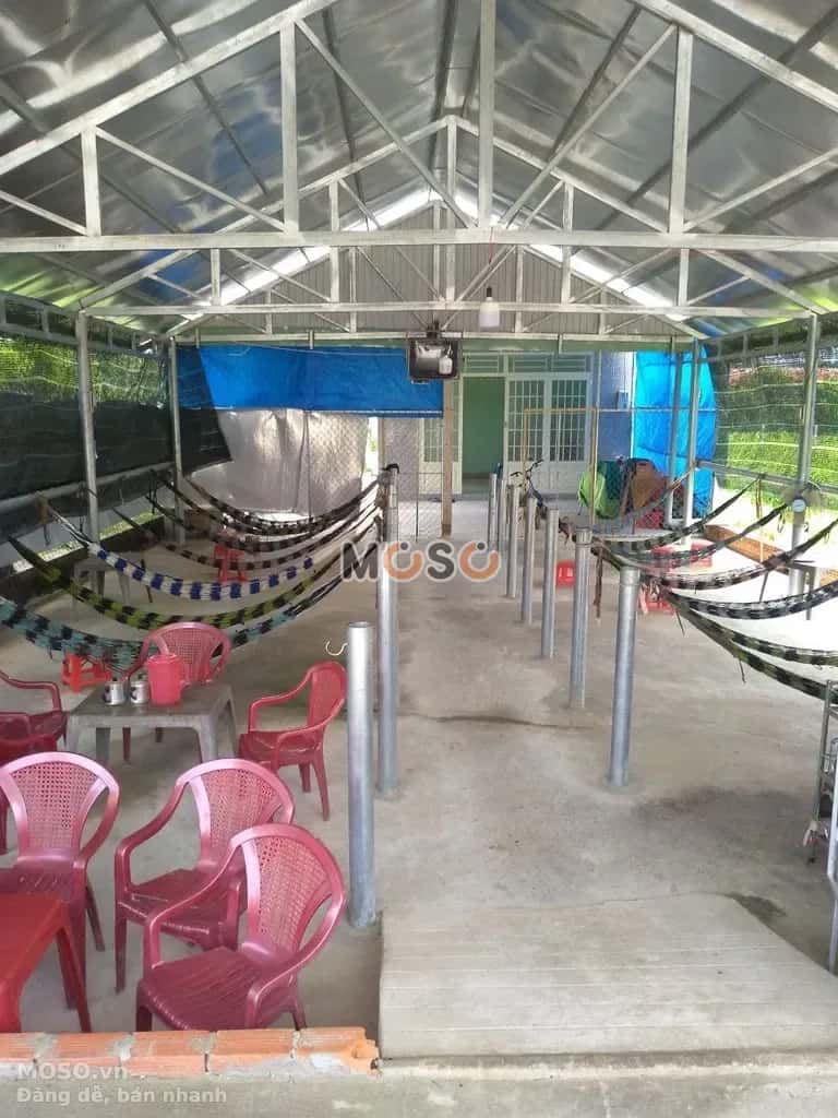 Cho thuê nhà mặt tiền Đường Tỉnh Lộ 15 Huyện Củ Chi, TP.HCM – 1 phòng ngủ, giá 4 triệu - ảnh 5