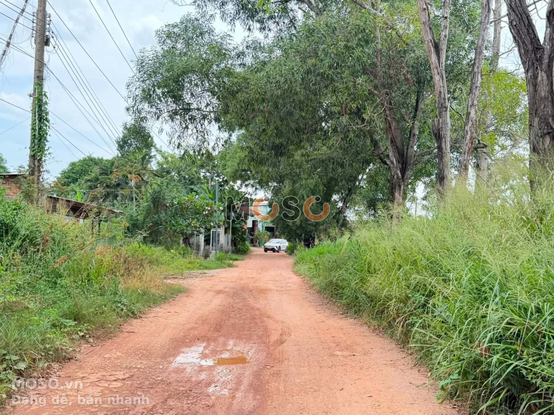 Bán đất hẻm đường Nguyễn Văn Lộng  Thành phố Thủ Dầu Một, Bình Dương – giá 7 tỷ - ảnh 3