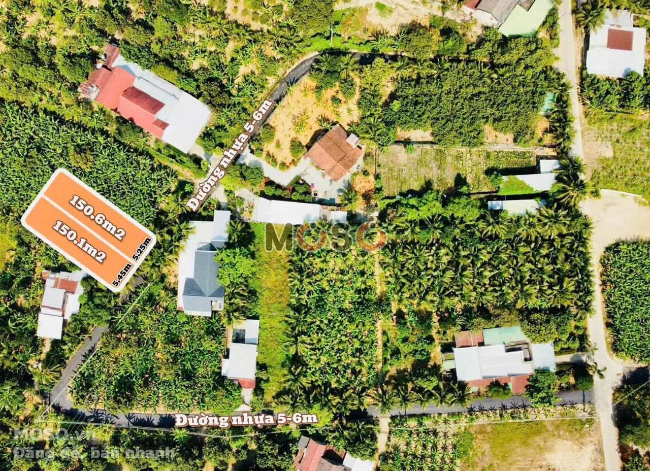 Bán đất thôn Phước Lương Huyện Diên Khánh, Khánh Hòa – giá 799 triệu - ảnh 3