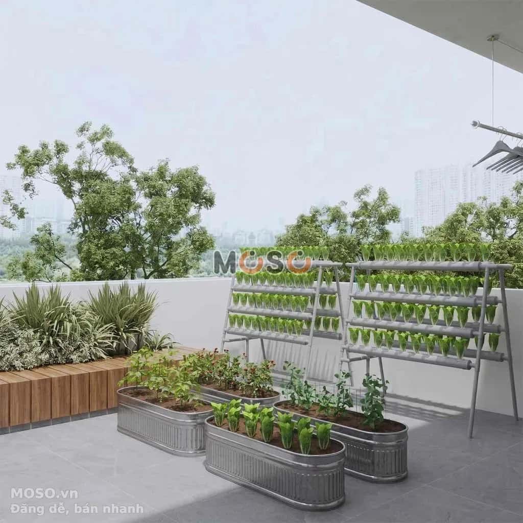 Cho thuê nhà hẻm Đường Trịnh Phong Nha Trang, Khánh Hòa – 4 phòng ngủ, giá 23 triệu - ảnh 7