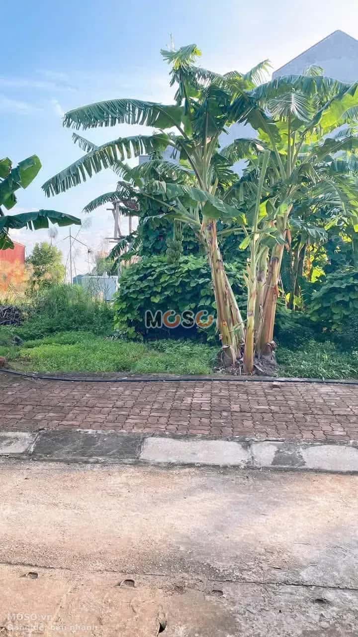 Bán đất thôn Hương Quất 2  Huyện Khoái Châu, Hưng Yên – giá 2.6 tỷ - ảnh 1