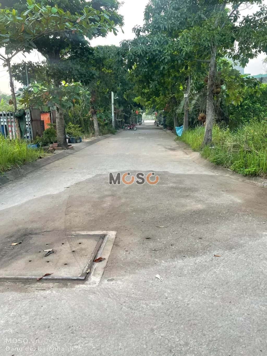 Bán đất Cầu Đình Quận 9, TP.HCM – giá 3.4 tỷ - ảnh 4
