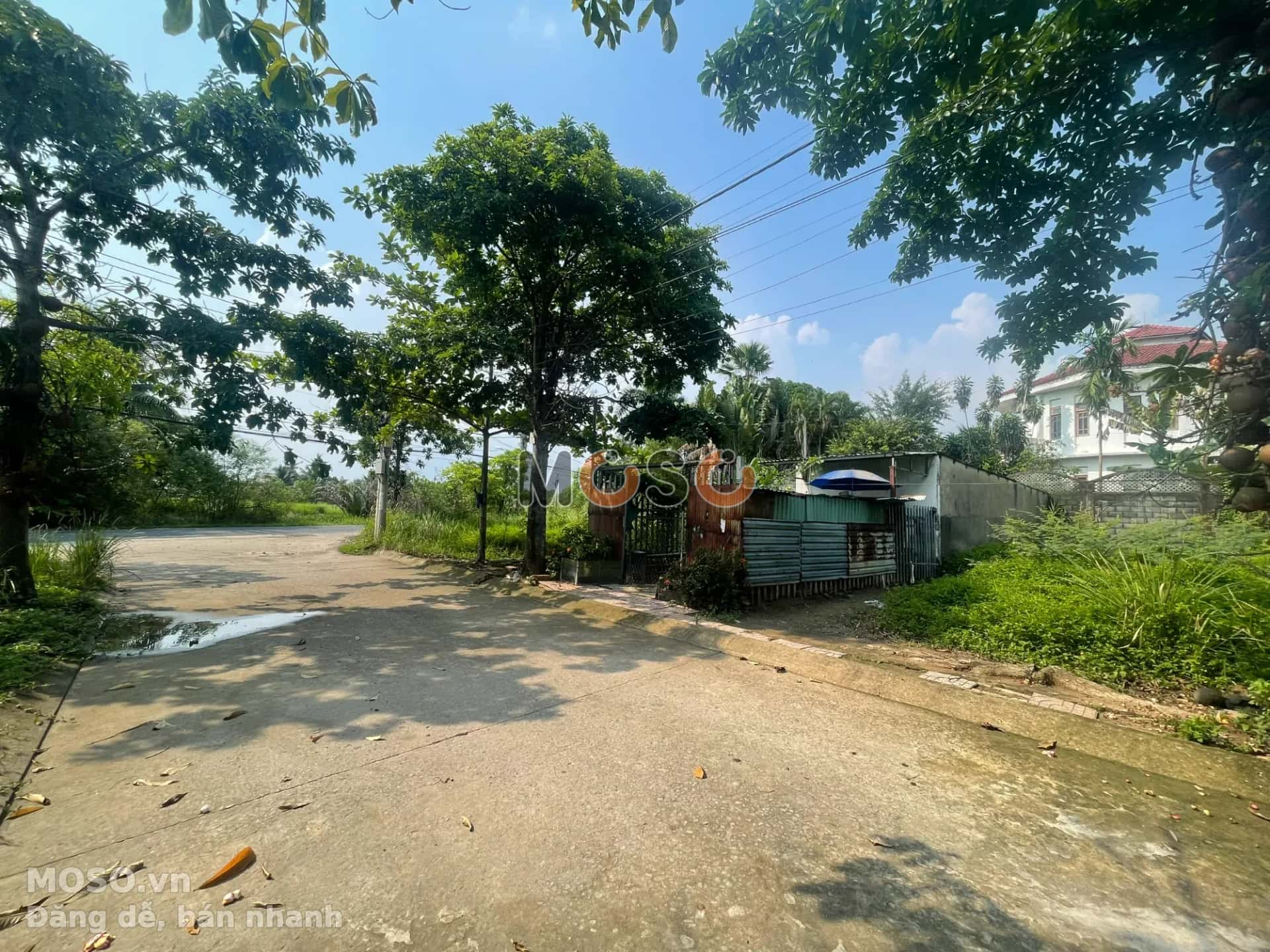 Bán đất Cầu Đình Quận 9, TP.HCM – giá 3.4 tỷ - ảnh 2