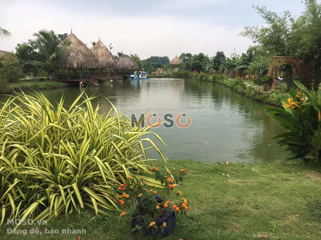 Bán đất An Điền Thành phố Bến Cát, Bình Dương – giá 22 tỷ - ảnh 4