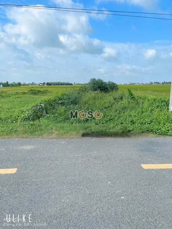 Bán đất Nguyễn Thị Lầu Huyện Tân Trụ, Long An – giá 549 triệu - ảnh 3