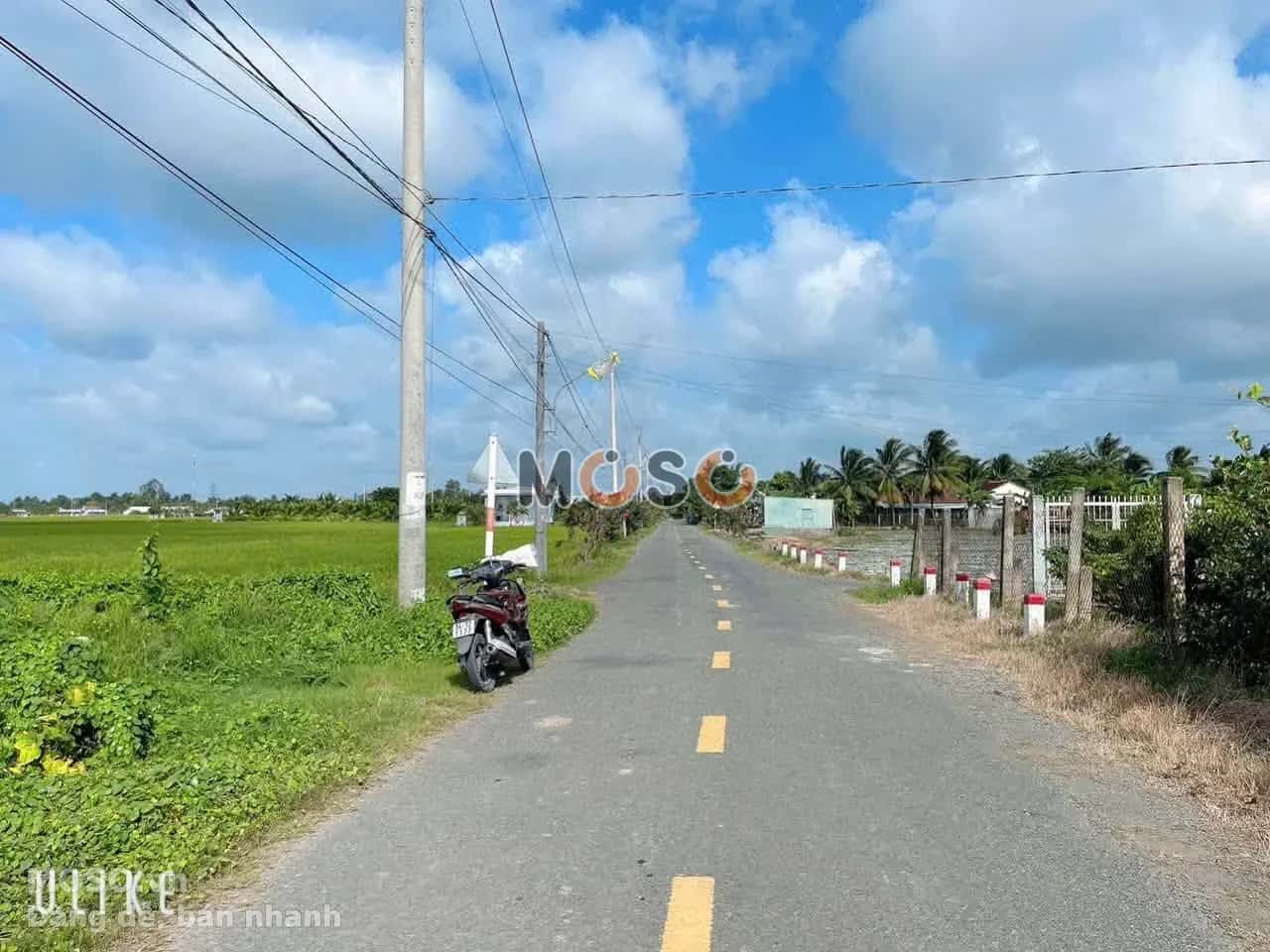 Bán đất Nguyễn Thị Lầu Huyện Tân Trụ, Long An – giá 549 triệu - ảnh 2
