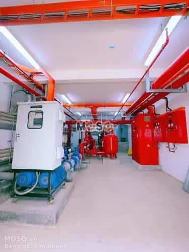 Cho thuê kho, nhà xưởng Đường Trần Phú Huyện Nhơn Trạch, Đồng Nai – giá 415 triệu - ảnh 5