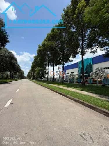 Cho thuê kho, nhà xưởng Đường Trần Phú Huyện Nhơn Trạch, Đồng Nai – giá 415 triệu - ảnh 4