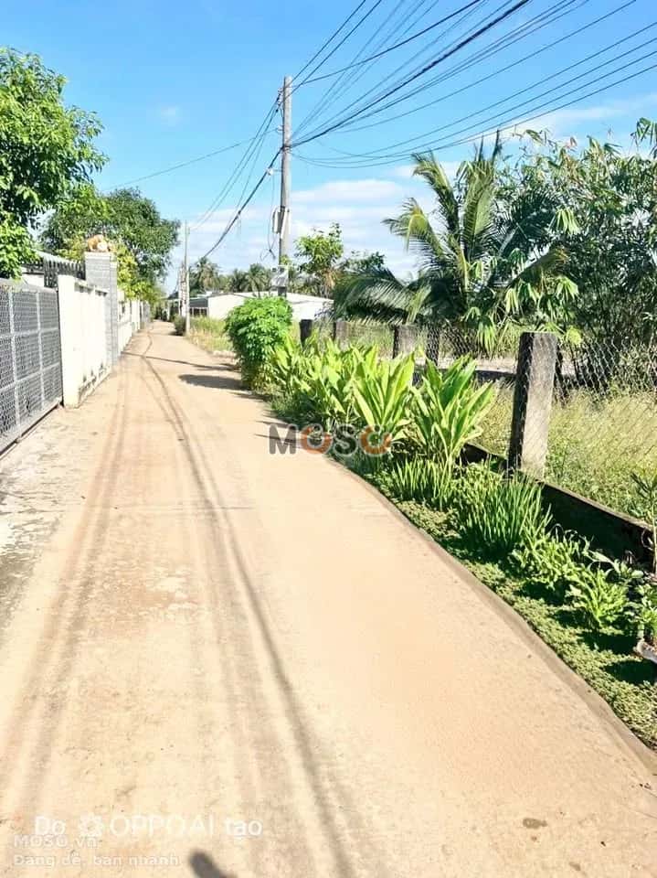 Bán đất ấp Vĩnh Bình, hẻm Châu Thị Kim Thành phố Tân An, Long An – giá 850 triệu - ảnh 2