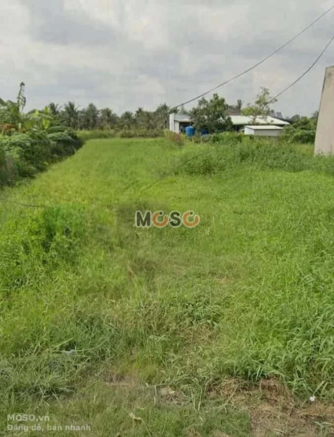 Bán đất Đăng Mỹ Huyện Tân Trụ, Long An – giá 900 triệu - ảnh 1