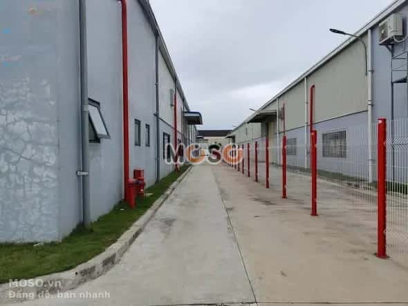 Cho thuê kho, nhà xưởng Song Hồ Thị xã Thuận Thành, Bắc Ninh – giá 680 triệu - ảnh 4
