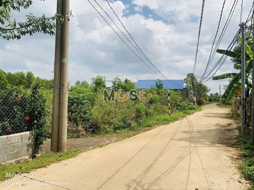 Cho thuê đất Thống Nhất, Dong Nai City – giá 1 triệu - ảnh 7