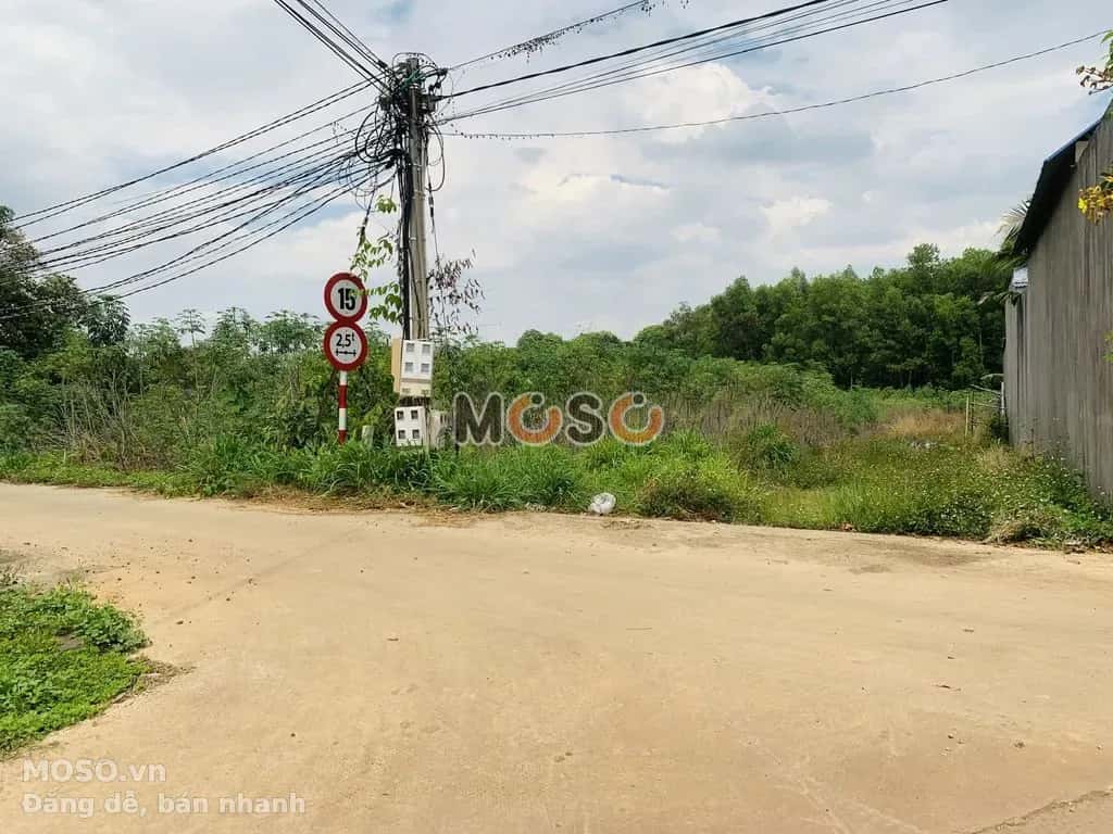 Cho thuê đất Thống Nhất, Dong Nai City – giá 1 triệu - ảnh 6