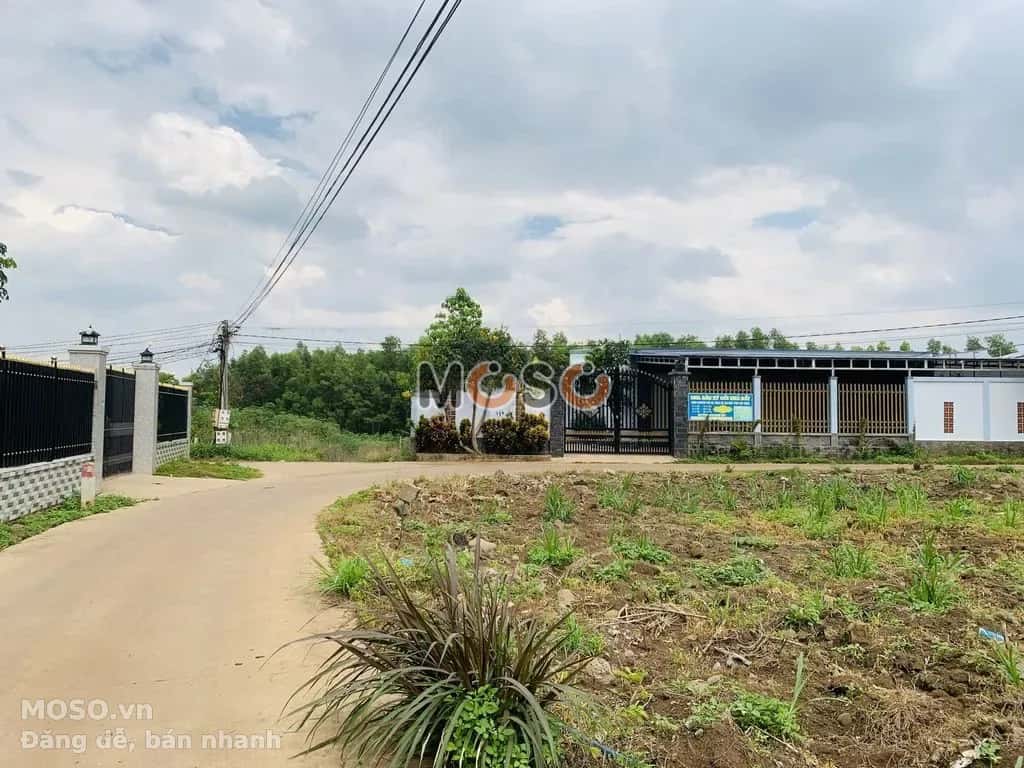 Cho thuê đất Thống Nhất, Dong Nai City – giá 1 triệu - ảnh 4