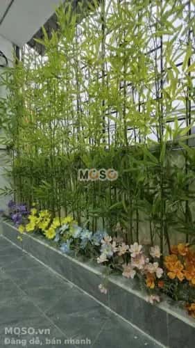 Cho thuê BĐS khác Phố Đào Tấn Ba Đình, Hà Nội – 3 phòng ngủ, giá 12 triệu - ảnh 6