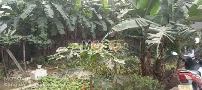 Cho thuê nhà hẻm Đường Đa Lộc Hoài Đức, Hà Nội – 3 phòng ngủ, giá 6.5 triệu - ảnh 14