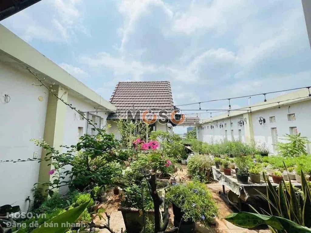 Cho thuê nhà mặt tiền Đường Nguyễn Ái Quốc Biên Hòa, Đồng Nai – giá 59 triệu - ảnh 8