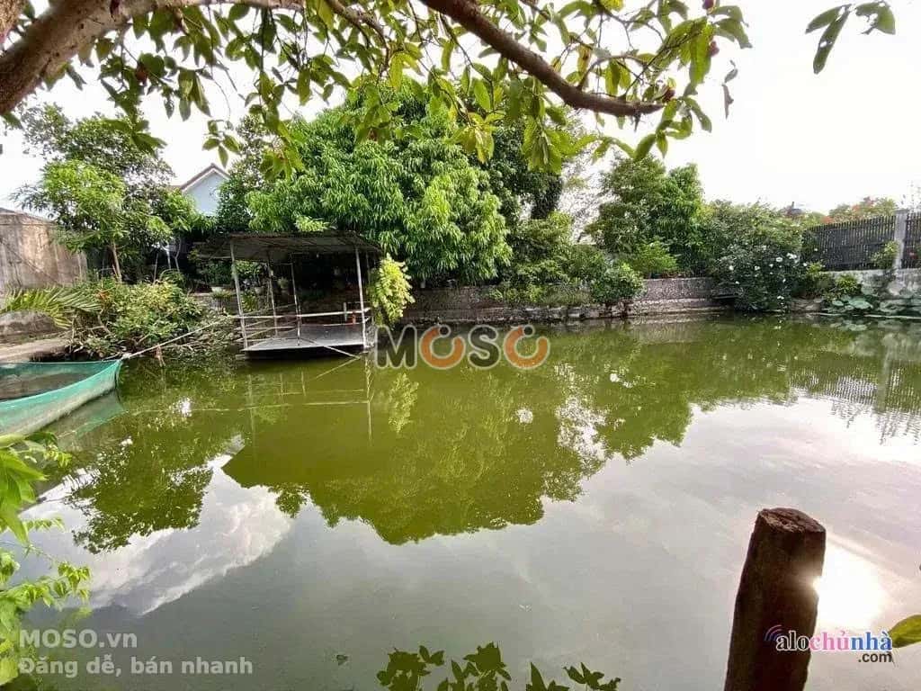 Bán nhà hẻm Bảy Tấn Huyện Bình Chánh, TP.HCM – 7 phòng ngủ, giá 18 tỷ - ảnh 5