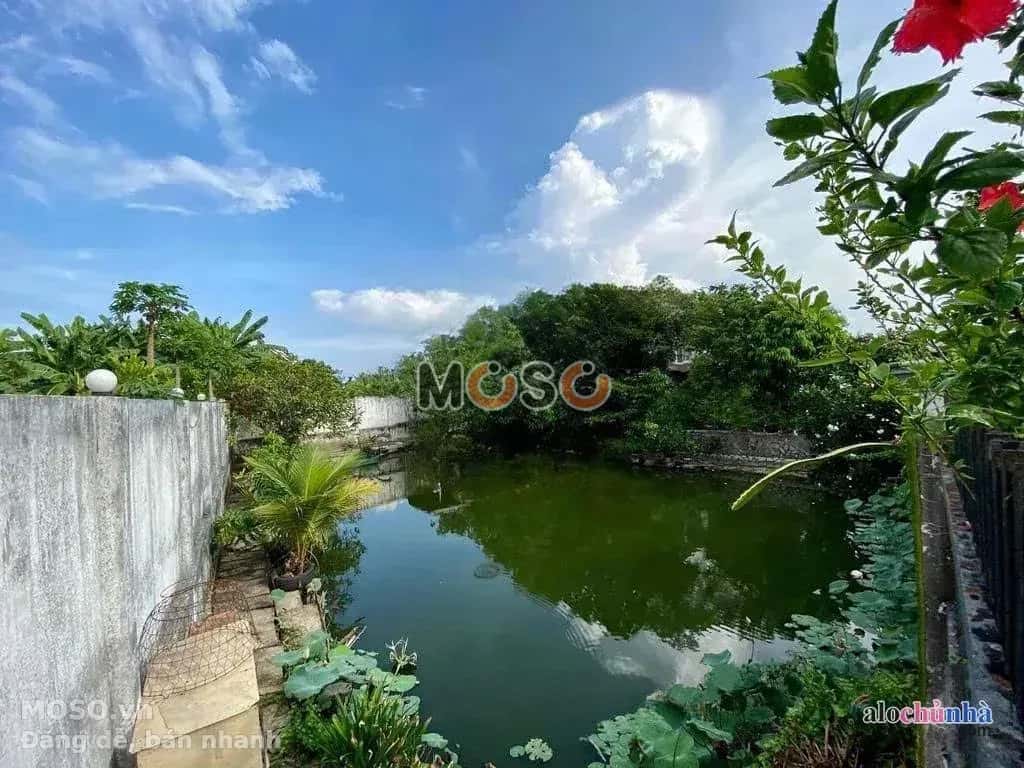 Bán nhà hẻm Bảy Tấn Huyện Bình Chánh, TP.HCM – 7 phòng ngủ, giá 18 tỷ - ảnh 7