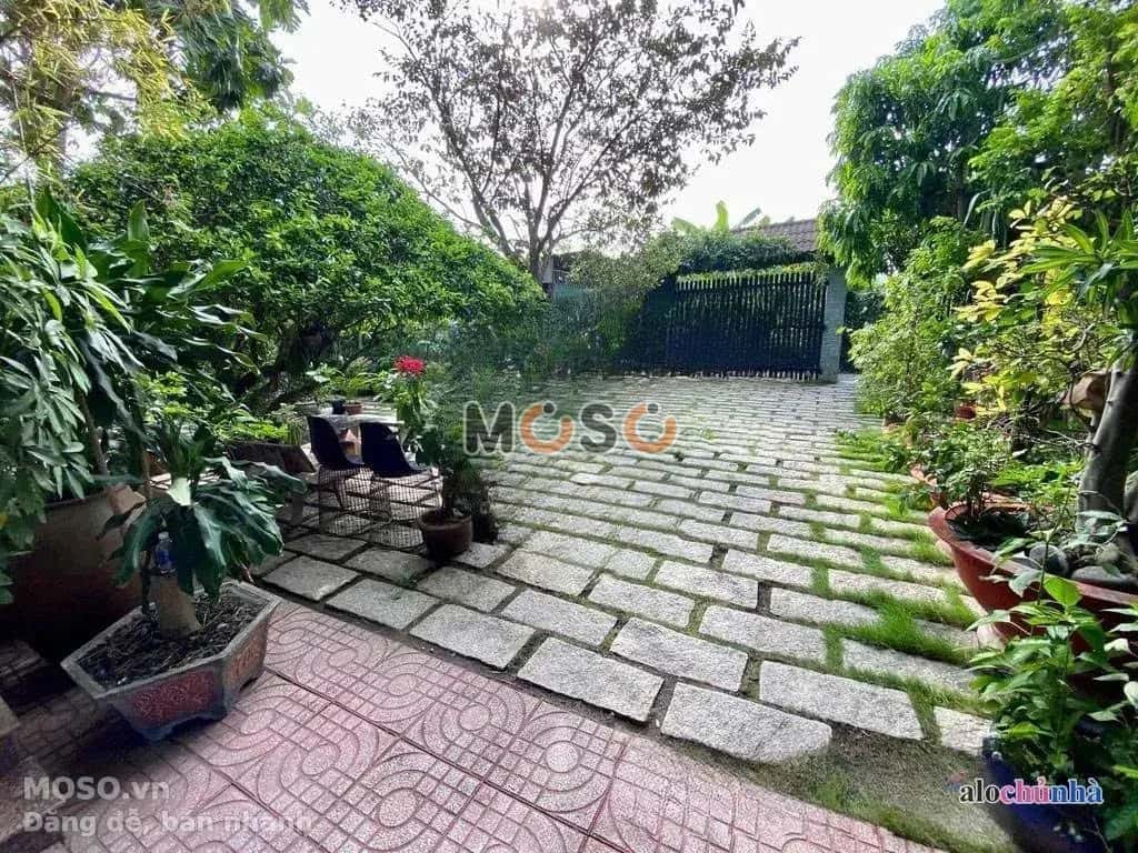 Bán nhà hẻm Bảy Tấn Huyện Bình Chánh, TP.HCM – 7 phòng ngủ, giá 18 tỷ - ảnh 3