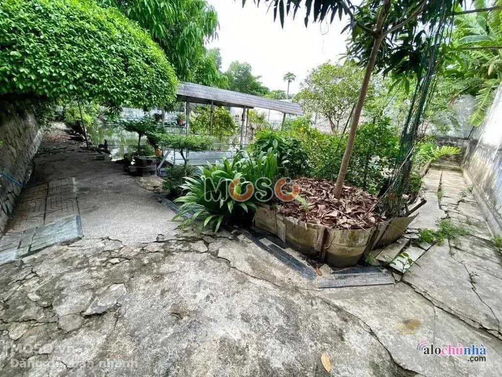 Bán nhà hẻm Bảy Tấn Huyện Bình Chánh, TP.HCM – 7 phòng ngủ, giá 18 tỷ - ảnh 9
