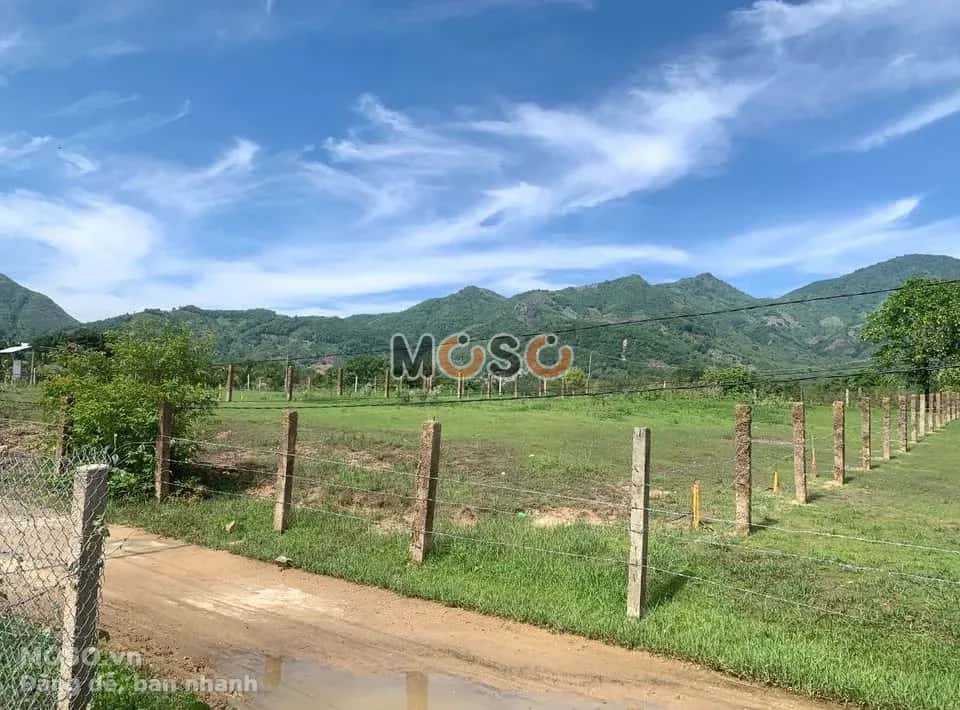 Bán đất Thôn Lập Lá  Huyện Ninh Sơn, Ninh Thuận – giá 275 triệu - ảnh 2