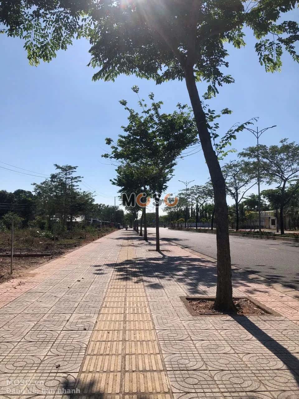 Bán đất đường Trường Chinh, khu phố Vạn Hạnh Thành phố Phú Mỹ, BRVT – giá 3 tỷ - ảnh 4