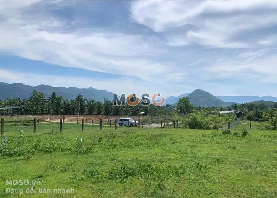 Bán đất Thôn Lập Lá  Huyện Ninh Sơn, Ninh Thuận – giá 275 triệu - ảnh 1