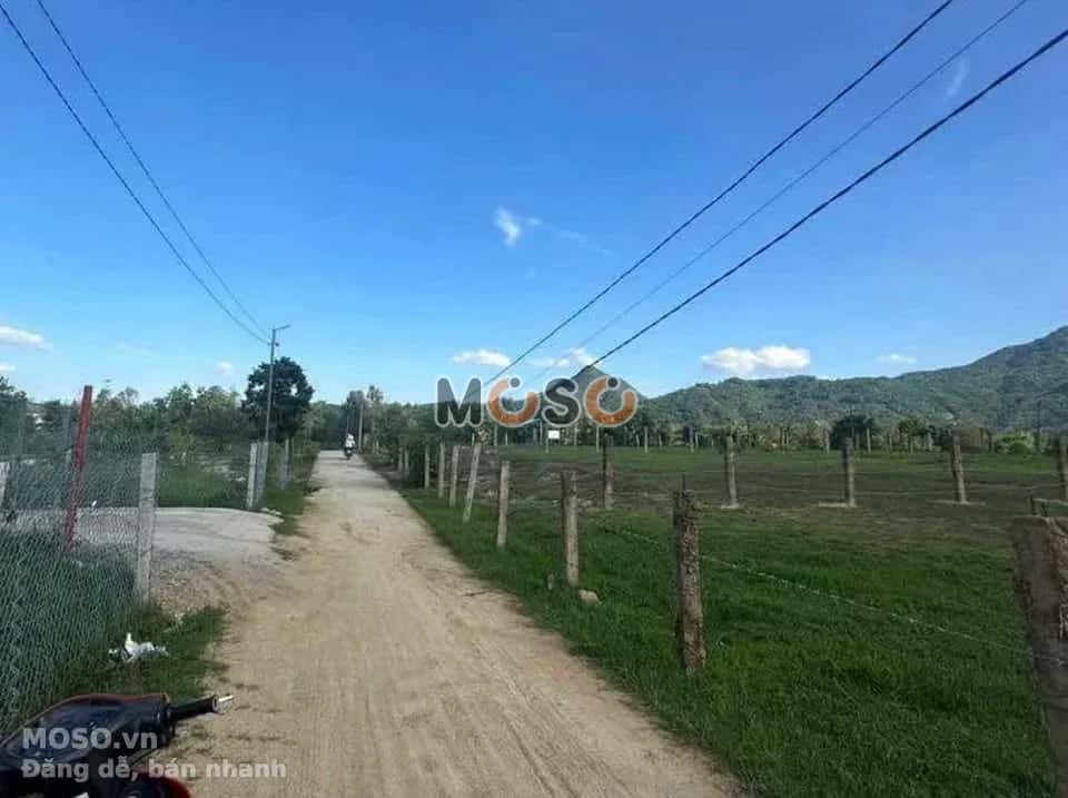 Bán đất Thôn Lập Lá  Huyện Ninh Sơn, Ninh Thuận – giá 275 triệu - ảnh 3