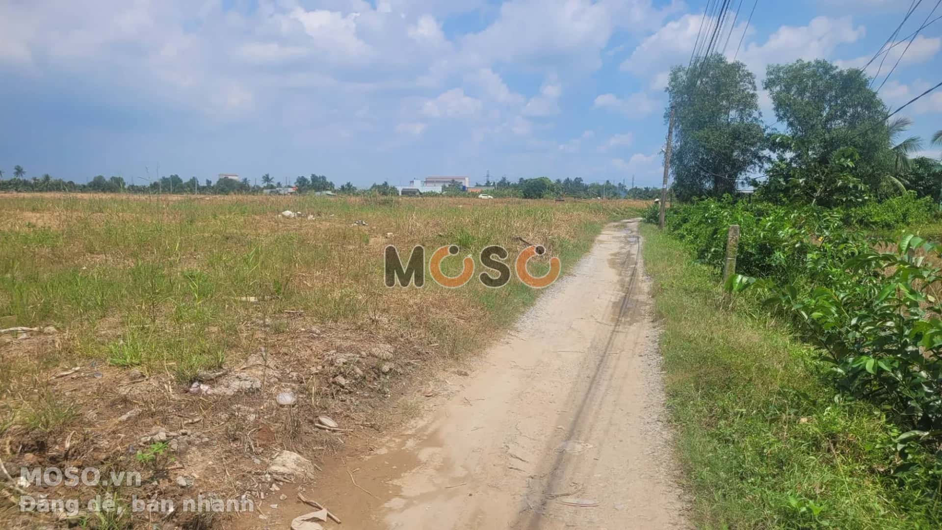 Bán đất hẻm đường ĐT 830B Huyện Bến Lức, Long An – giá 2.8 tỷ - ảnh 4