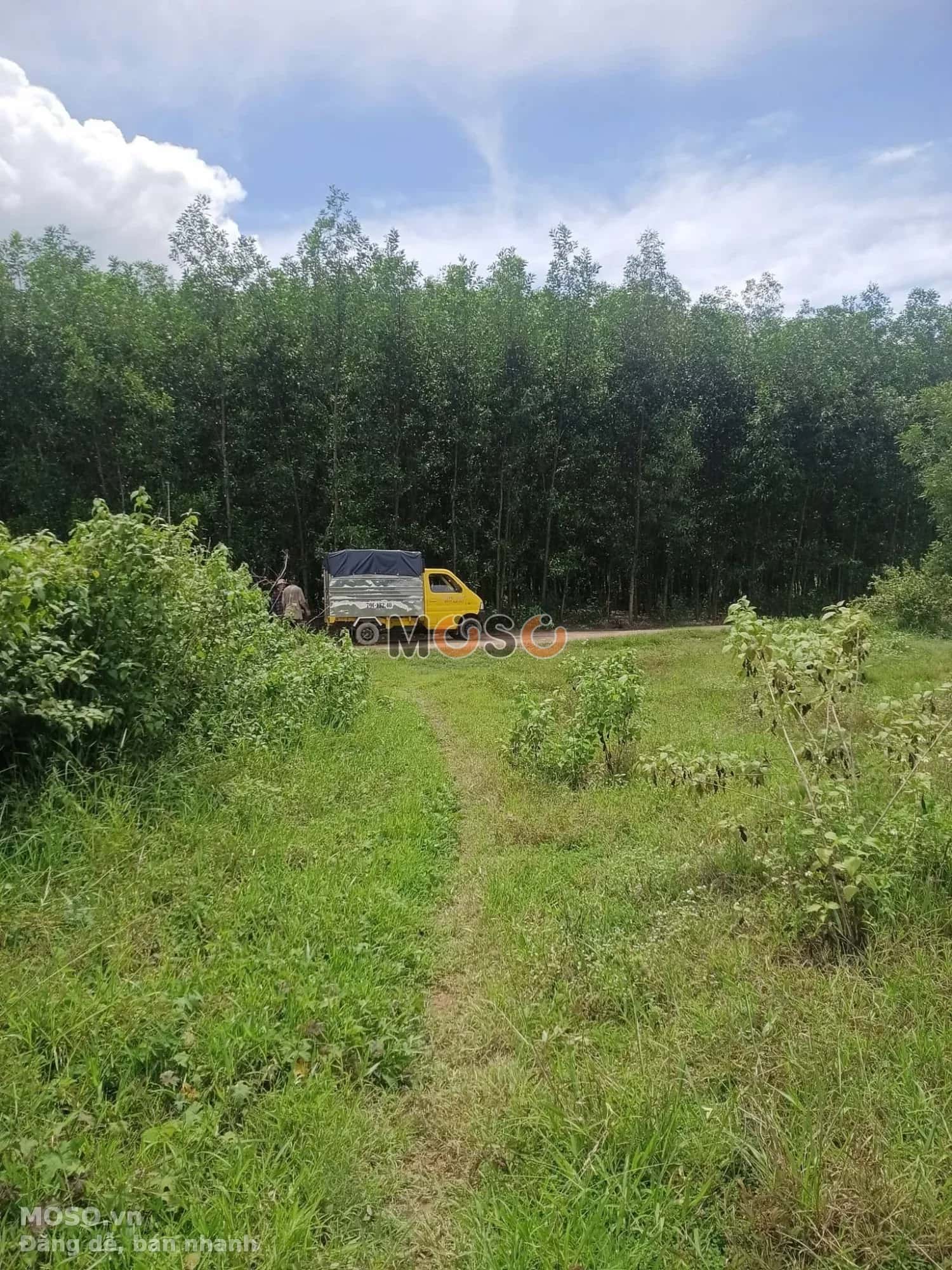 Bán đất thôn Xuân Nam Huyện Diên Khánh, Khánh Hòa – giá 370 triệu - ảnh 1