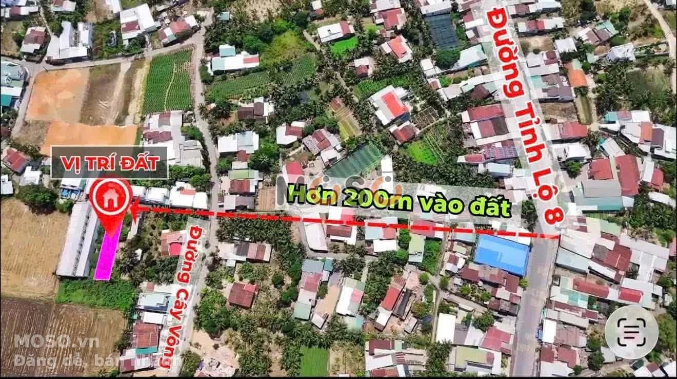 Bán đất đường Cây Vông Huyện Diên Khánh, Khánh Hòa – giá 1.3 tỷ - ảnh 4